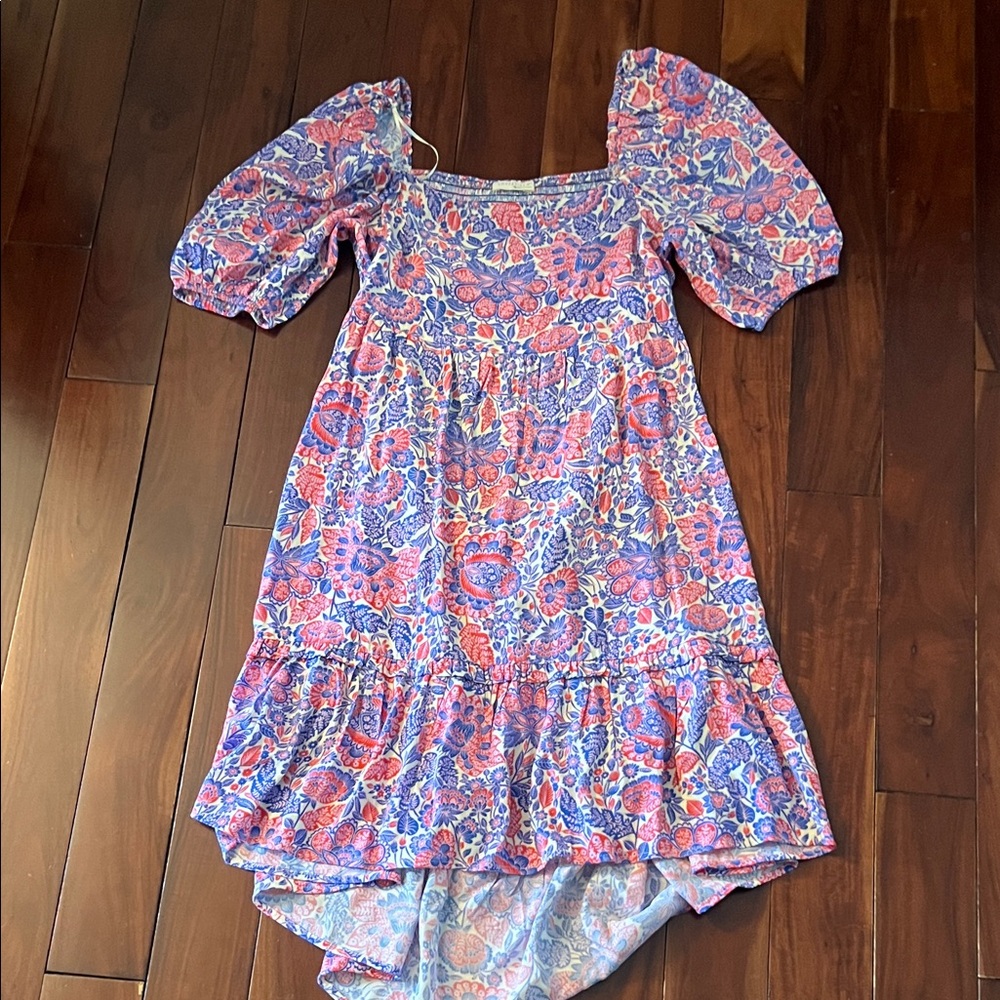 Lovestitch Asymmetrical Dress in Pink and Blue Floral